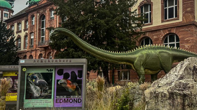 Senckenberg Naturkundemuseum, Frankfurt am Main