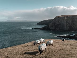 Irische Küste. Foto: Raul Kozenewski (pexels)