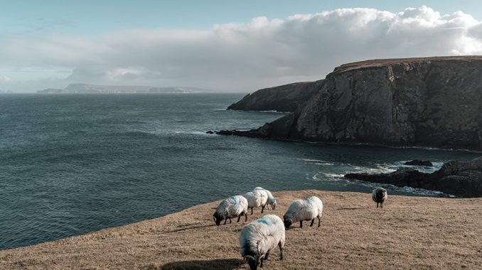 Irische Küste. Foto: Raul Kozenewski (pexels)