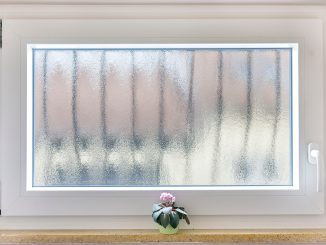 Usambaraveilchen. Foto: Mr.Stock / Adobe Stock