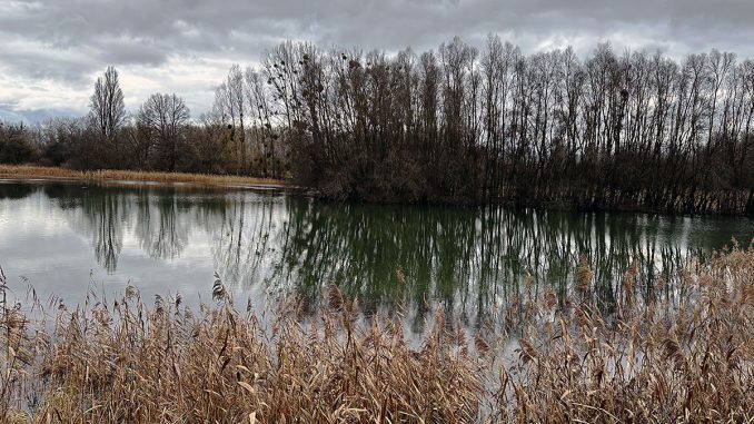 Kühkopf bei Erfelden