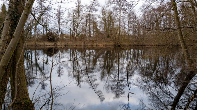 Kleiner Niederwaldsee Groß-Gerau