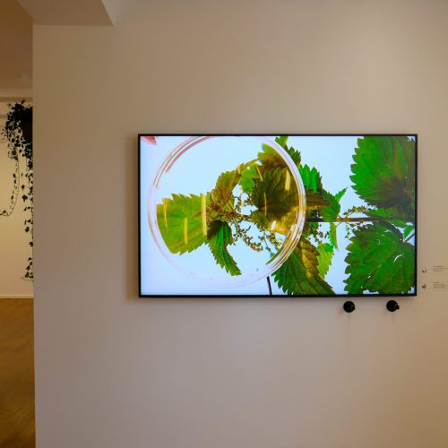 Removing Defenses. Video von Kalle Hamm und Dzamil Kamanger, 2014. Video