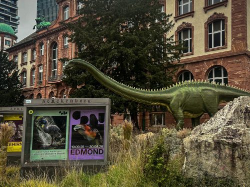 Senckenberg Naturkundemuseum Frankfurt am Main