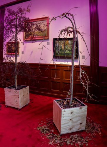 Asad Raza: 26 klimaresistente Bäume treffen auf Menschen und Kunstwerke.