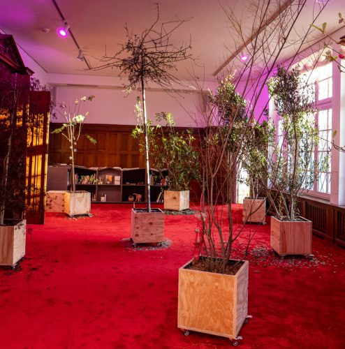 Asad Raza: 26 klimaresistente Bäume treffen auf Menschen und Kunstwerke.