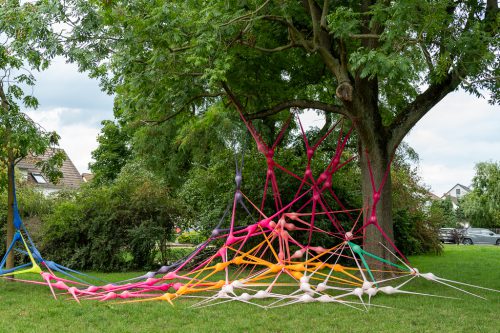 intervention invading network - Irene Anton