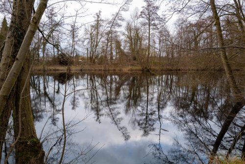 Kleiner Niederwaldsee Groß-Gerau