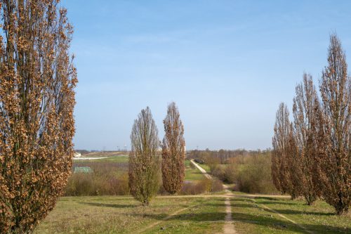 Blick in den Regionalpark