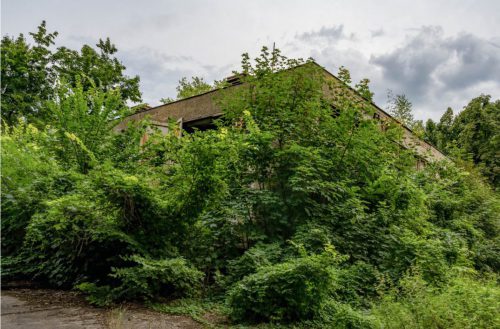 Marcus Maeder: Pflanzen sind Beziehung - Spreepark, Berlin. Poster.