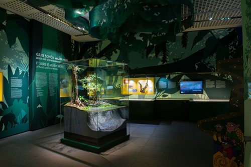 Raumansicht der Ausstellung. Copyright: ©Senckenberg Tränkner